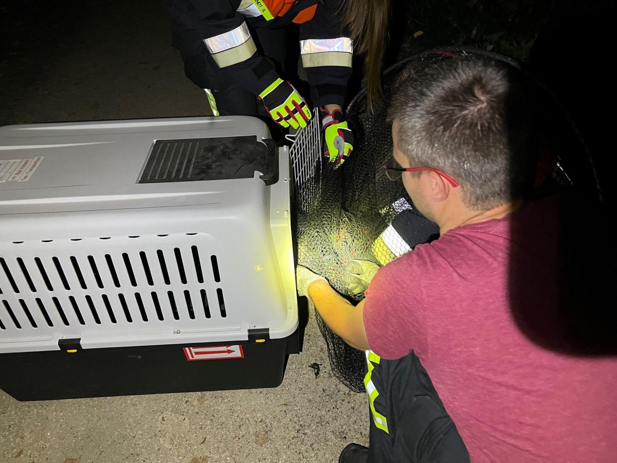 Technische Hilfeleistung