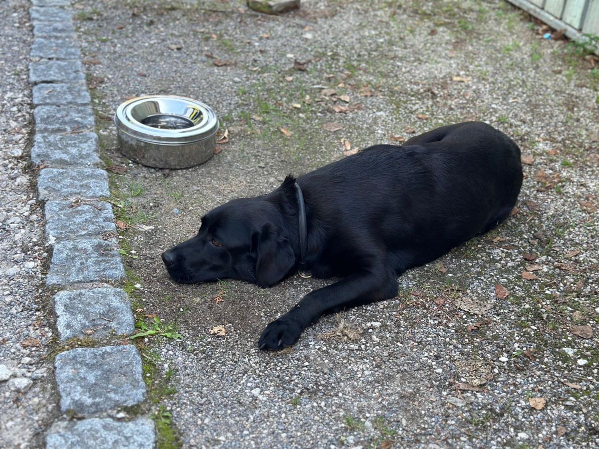 Technische Hilfeleistung