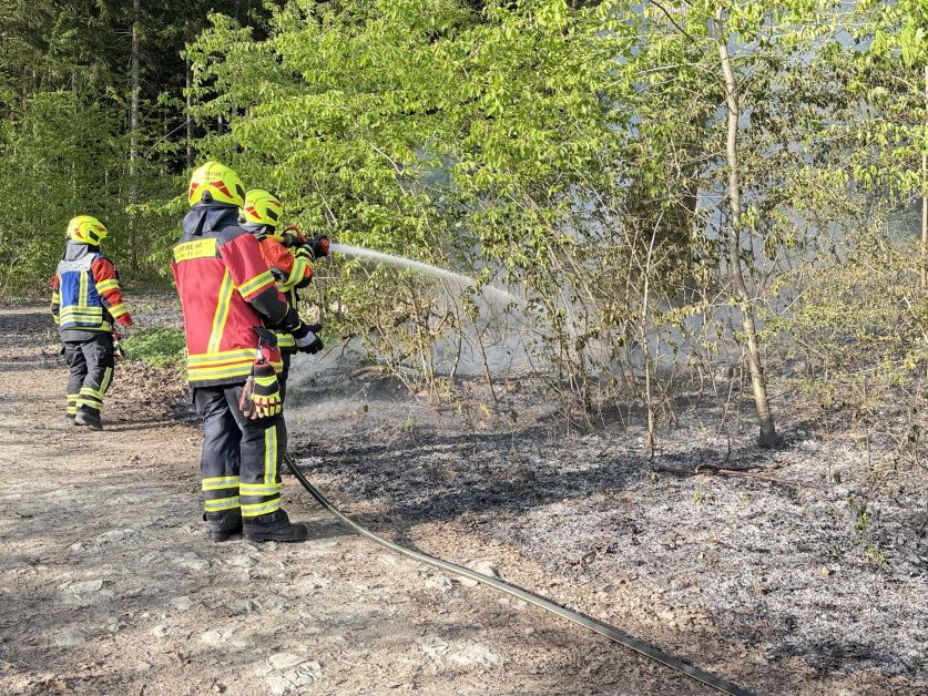 Brand